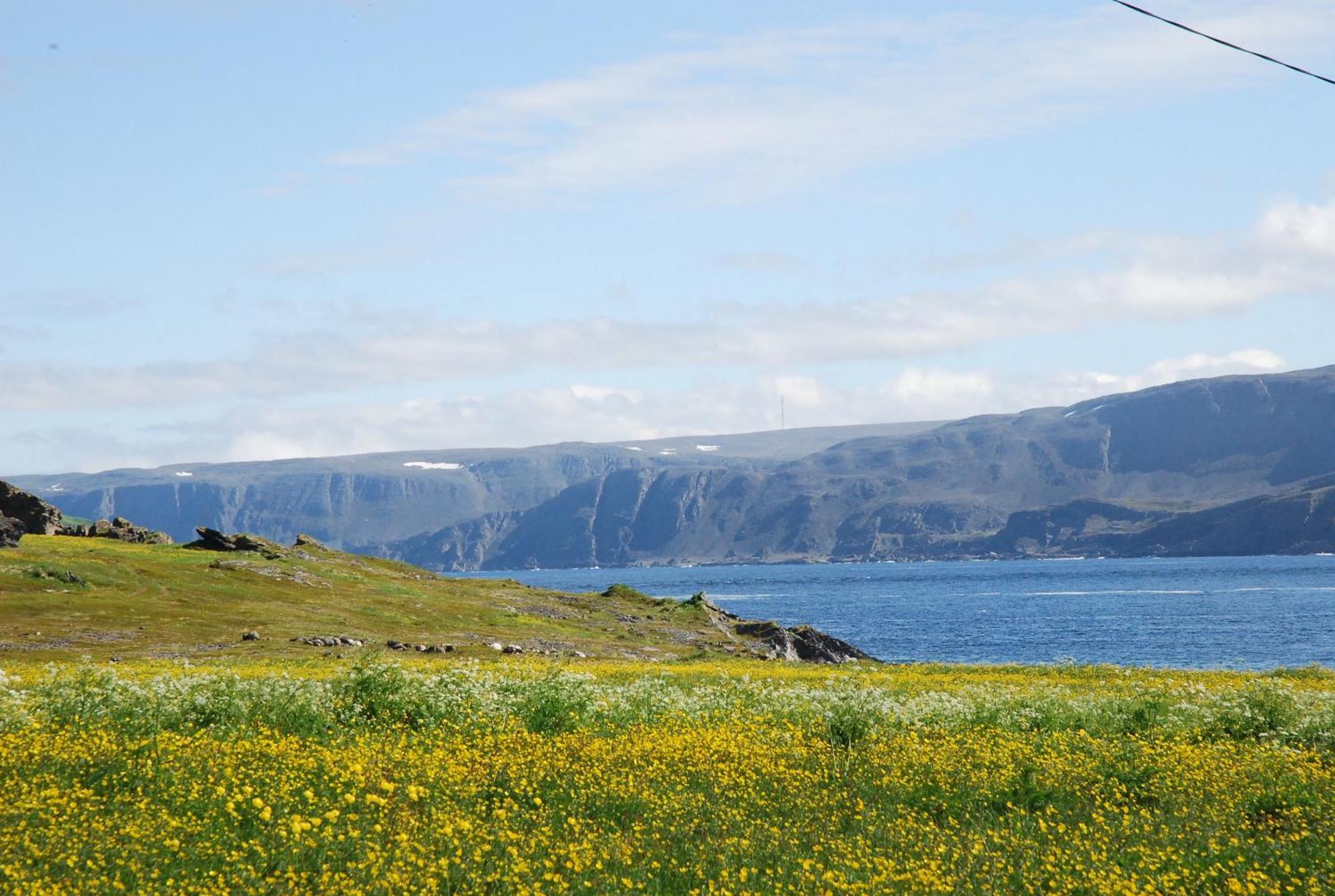 Kongsfjord Holiday Home מראה חיצוני תמונה